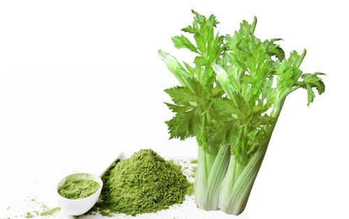 Một số cách sử dụng bột cần Tây